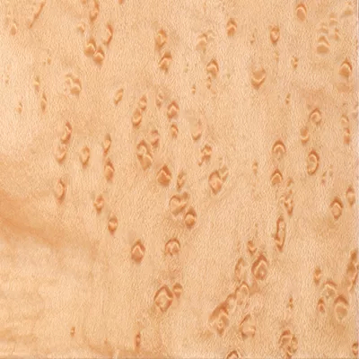Close-up Birds Eye Veneer (Gloss): wood surface with an irregular grain pattern and small dark circular "spots" (bird's eye figures), in a light tone, featuring a glossy and reflective finish.