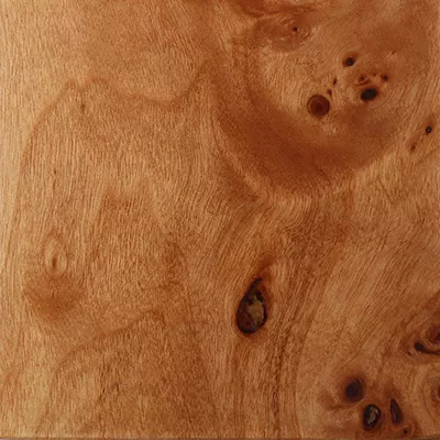 Close-up Poplar Veneer (Gloss): wood surface with a subtle grain pattern and a light tone, featuring a glossy and reflective finish.