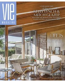 VIE Magazine cover, featuring Kelly Lynch and Mitch Glazer in an architectural home with modern furniture.
