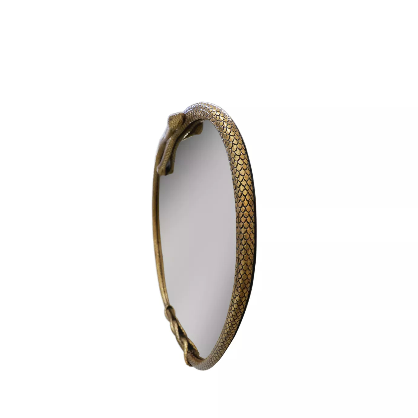 A profile view of the Serpentine Apple Shaped Mirror highlights its intricate golden snake frame and reflective surface.