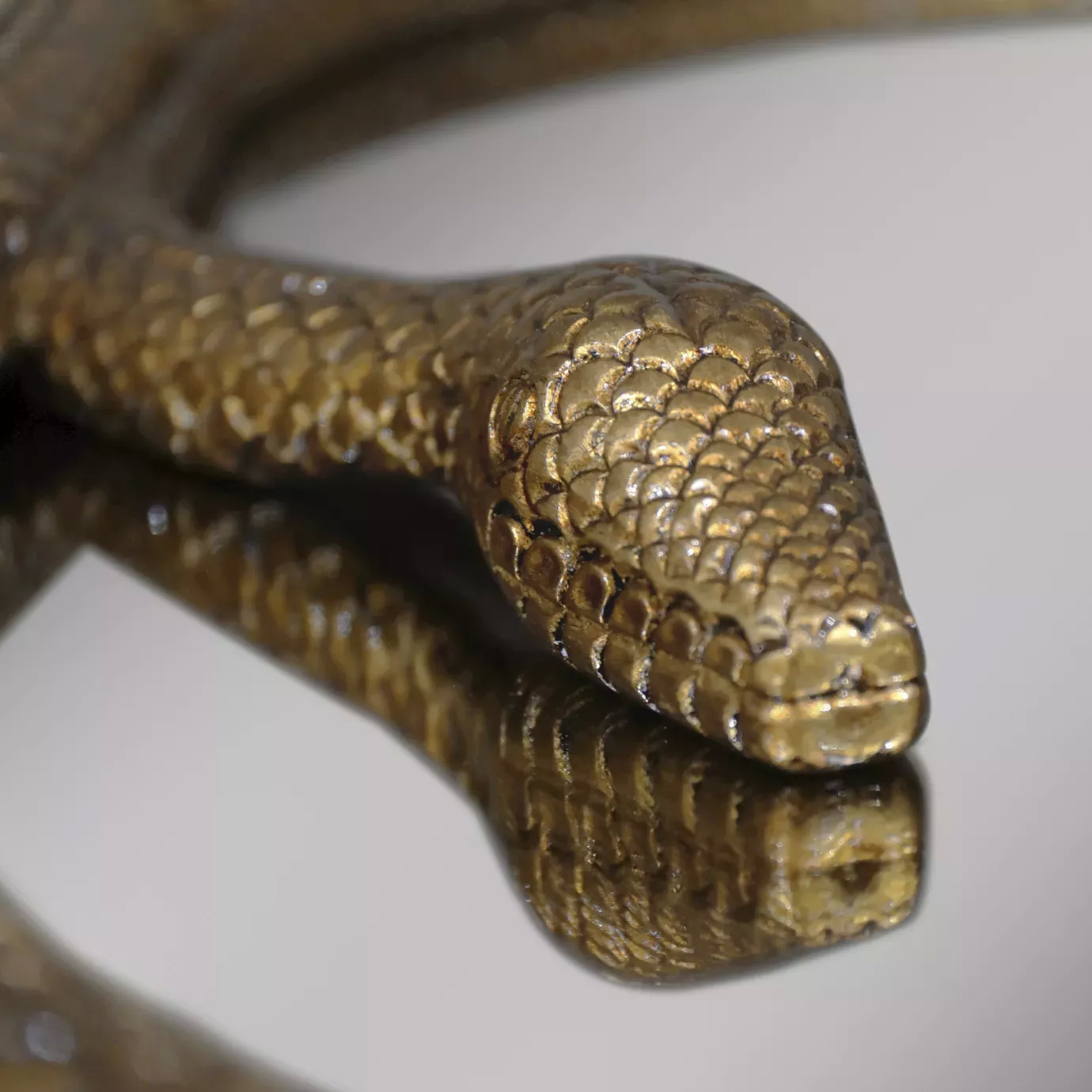 A detailed close-up of the Serpentine Apple Shaped Mirror's golden snakehead, resting on a reflective surface.