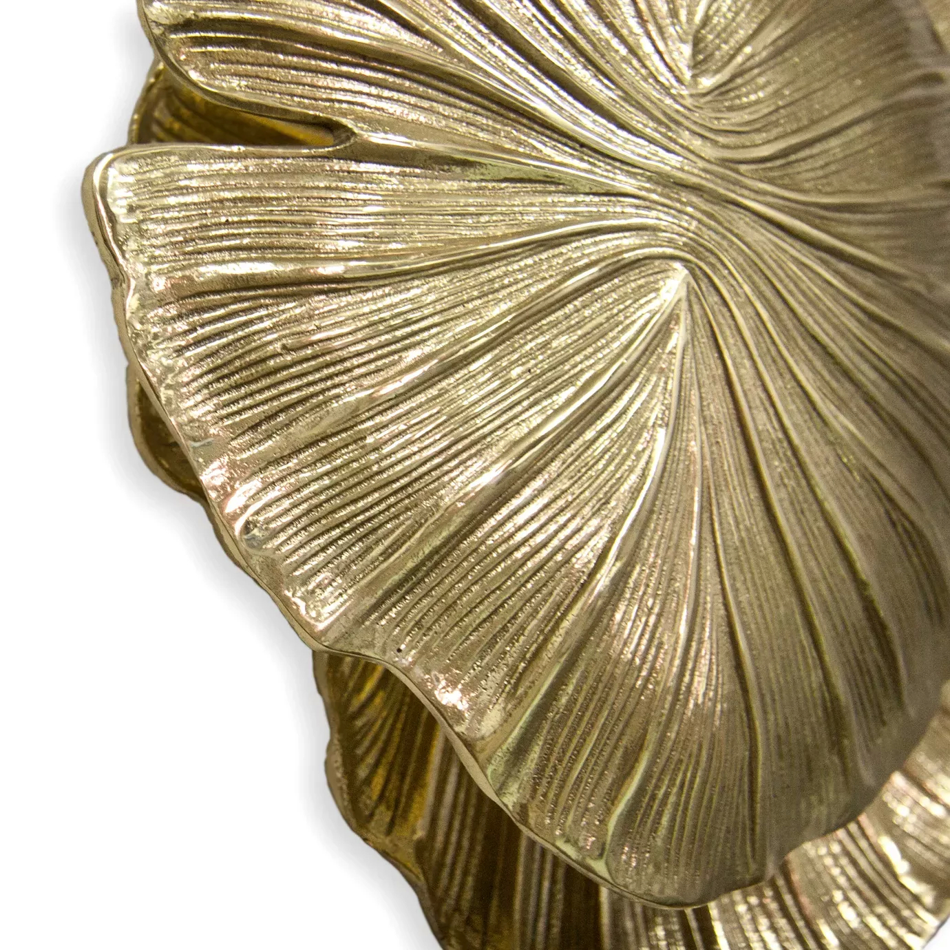 Inspired by nature, this luminous wall sconce symbolizes the link between first love and a flower when it first blooms.