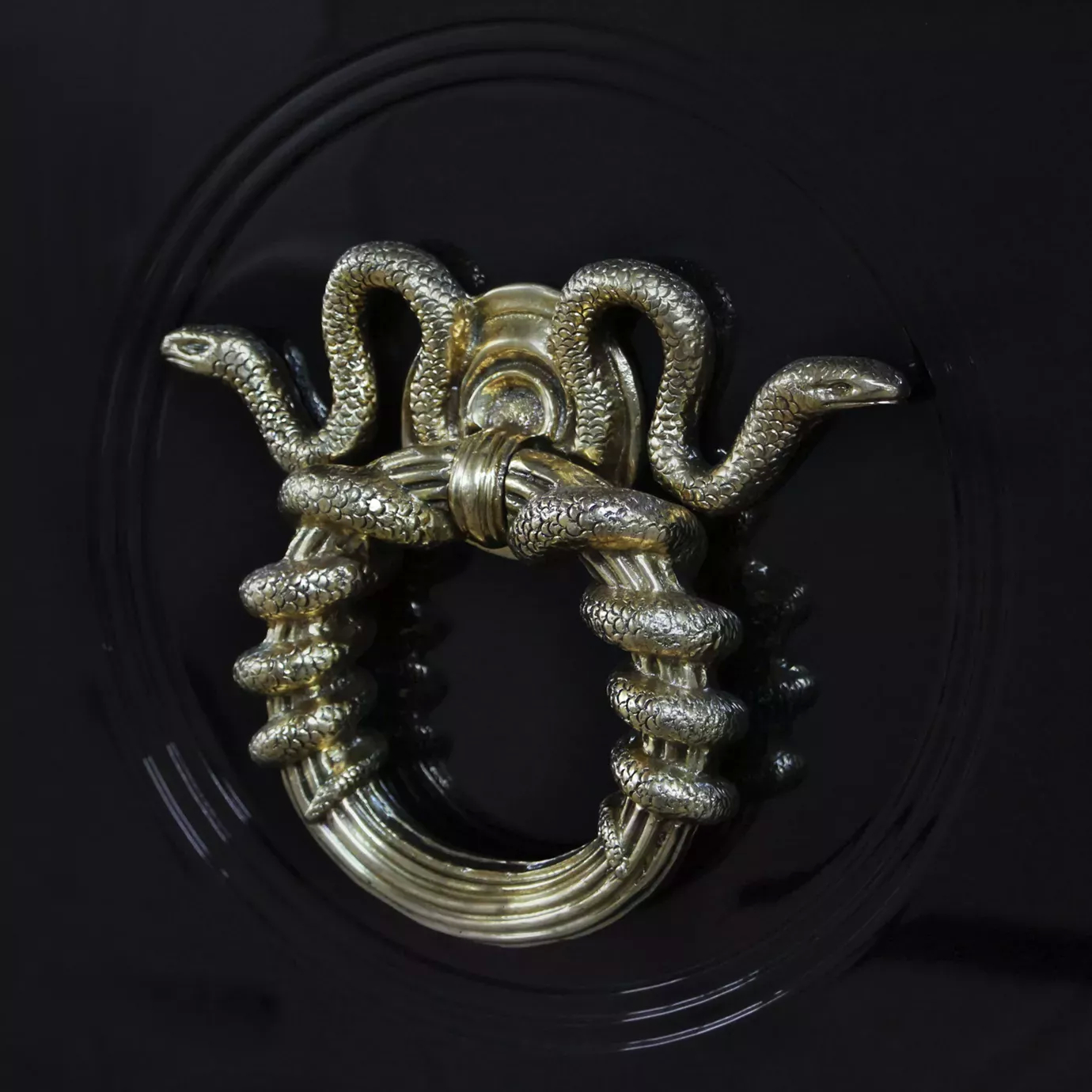 Close-up of luxury armoire snake-shaped gold handle with artistic Parisian design