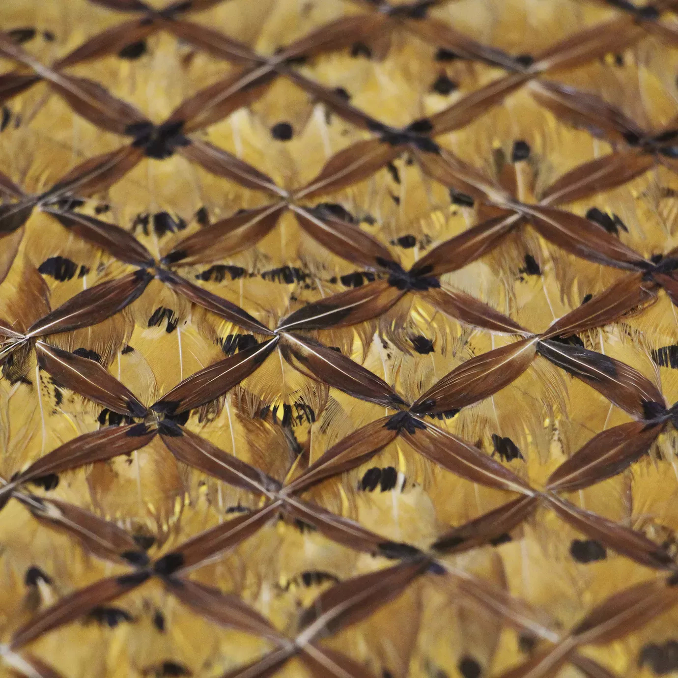 Elegant close-up of the brown and yellow-toned organic tiger feathers detail, arranged in an interlaced diamond pattern with black dotted accents.