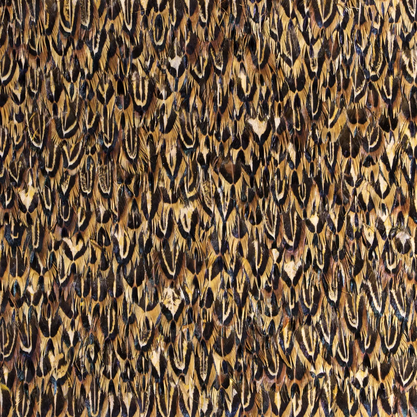 Elegant close-up of the brown, beige, and black-toned organic quail feathers detail, arranged in a dense and intricate overlapping pattern.