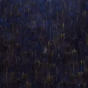 Elegant close-up of the purple and black organic feathers detail with thin golden lines, arranged in a dense and smooth overlapping pattern.