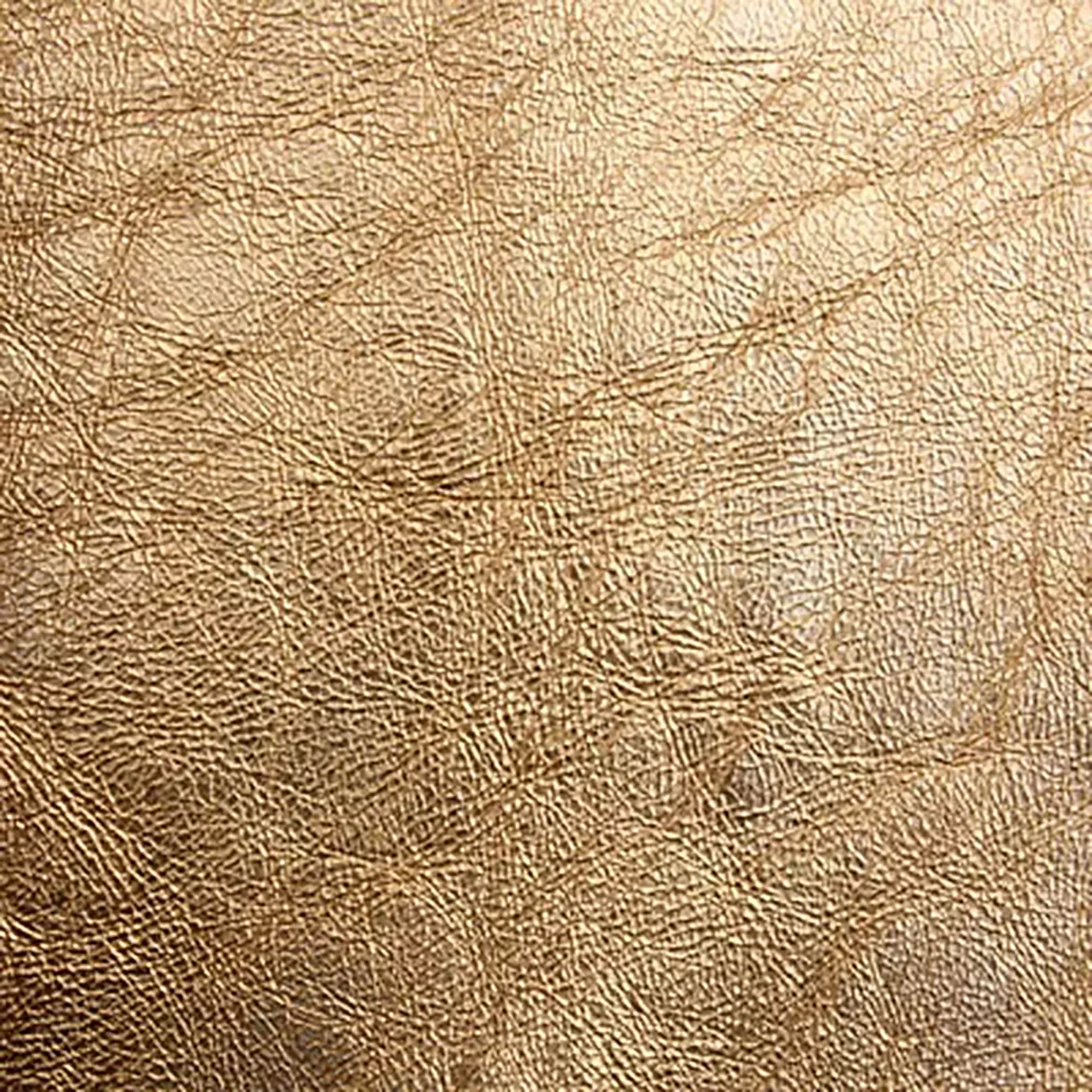 Close-up Metal Leather: textured and elegant metallic gold. Intense sheen enhances depth.