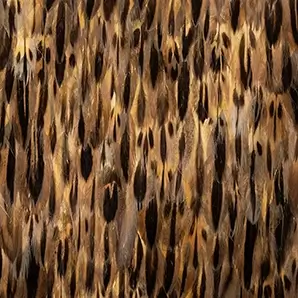 Golden Feathers: Close-up of rich, warm feathers with intricate patterns of gold, brown, and black, showcasing their luxurious texture and natural beauty.