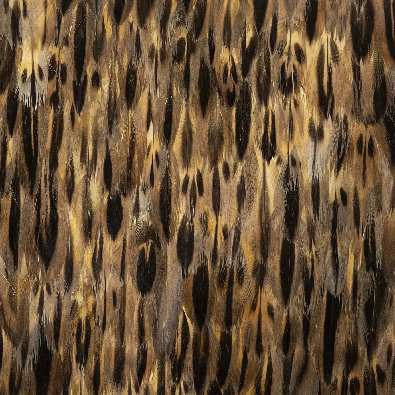 Golden Feathers: Close-up of rich, warm feathers with intricate patterns of gold, brown, and black, showcasing their luxurious texture and natural beauty.