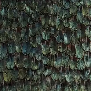 Iridescent Peacock Feathers: Close-up of layered peacock feathers in deep, shimmering shades of green and blue, showcasing their intricate textures and iridescent qualities.