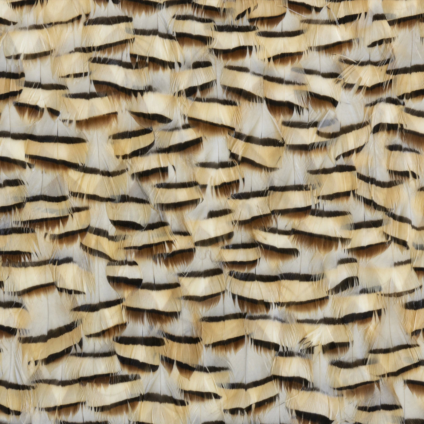 Tartan Faucon Feathers: A detailed view showcases a pattern of creamy hues with bold, dark stripes creating a textured, layered effect.