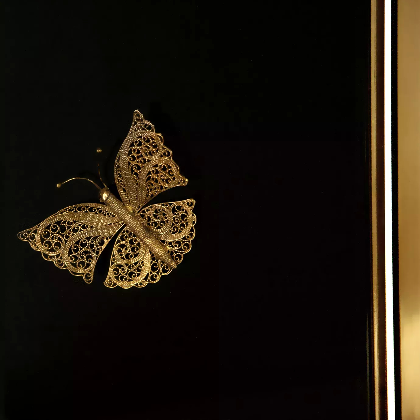 Elegant close-up of a golden filigree butterfly on the black Euphoria screen.