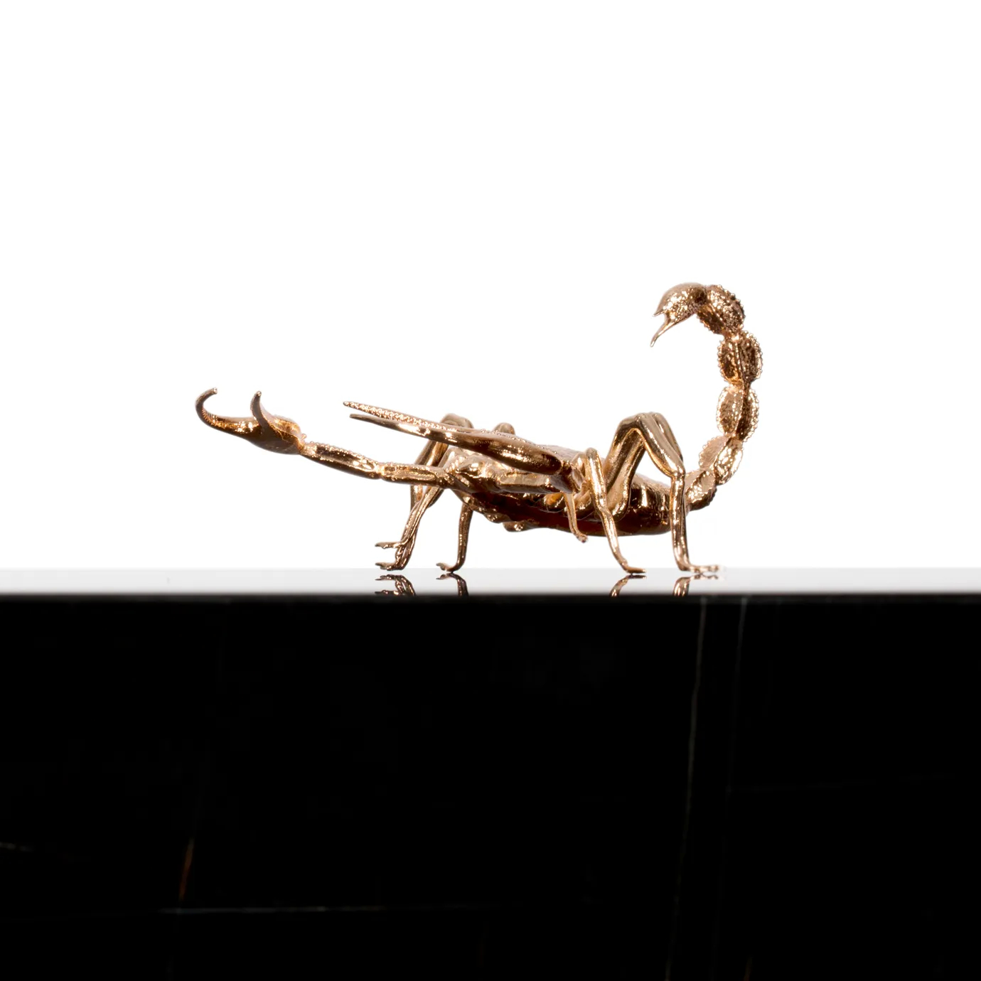 Golden scorpion sculpture on a black marble Metamorphosis table.