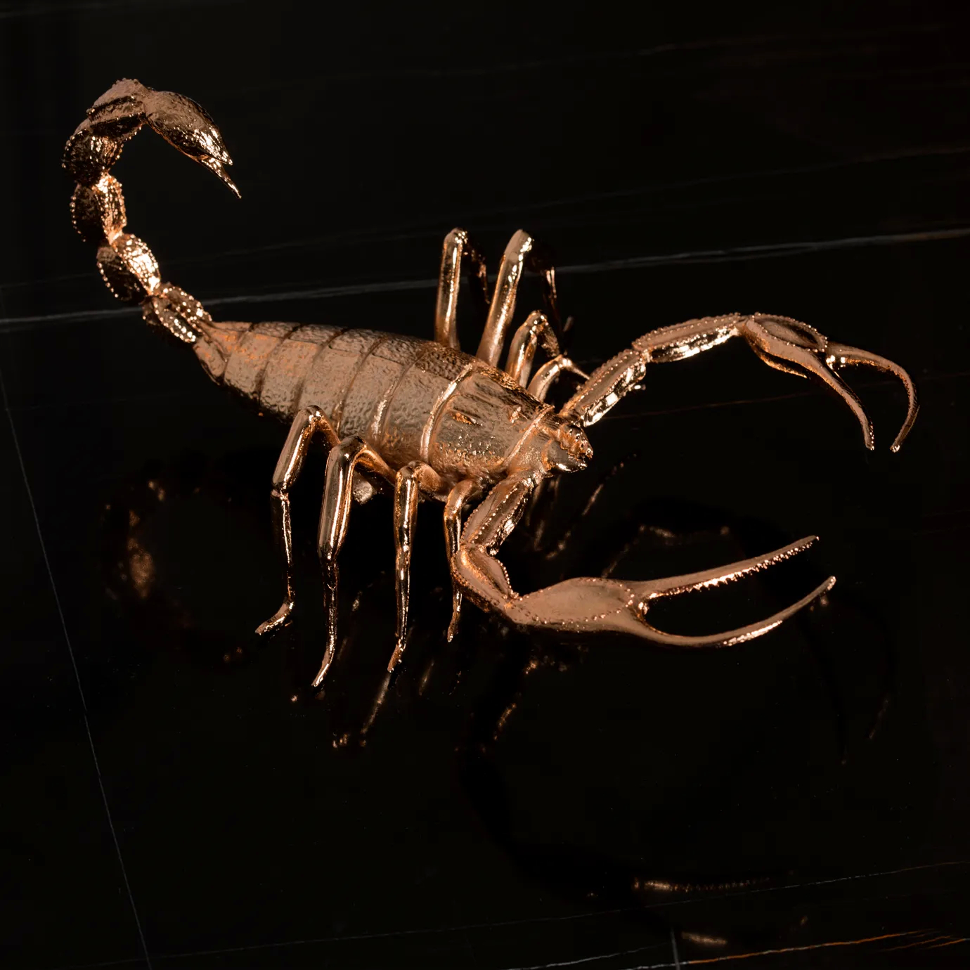 Another top down view of golden scorpion sculpture on a black marble Metamorphosis Side Table.