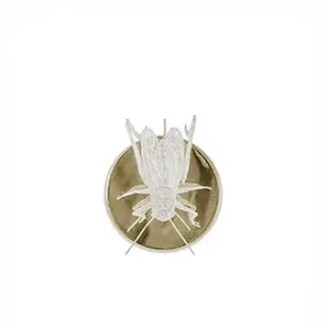 Ornate grasshopper sconces with filigree metalwork and antique finish, adding nature-inspired elegance to interior lighting design