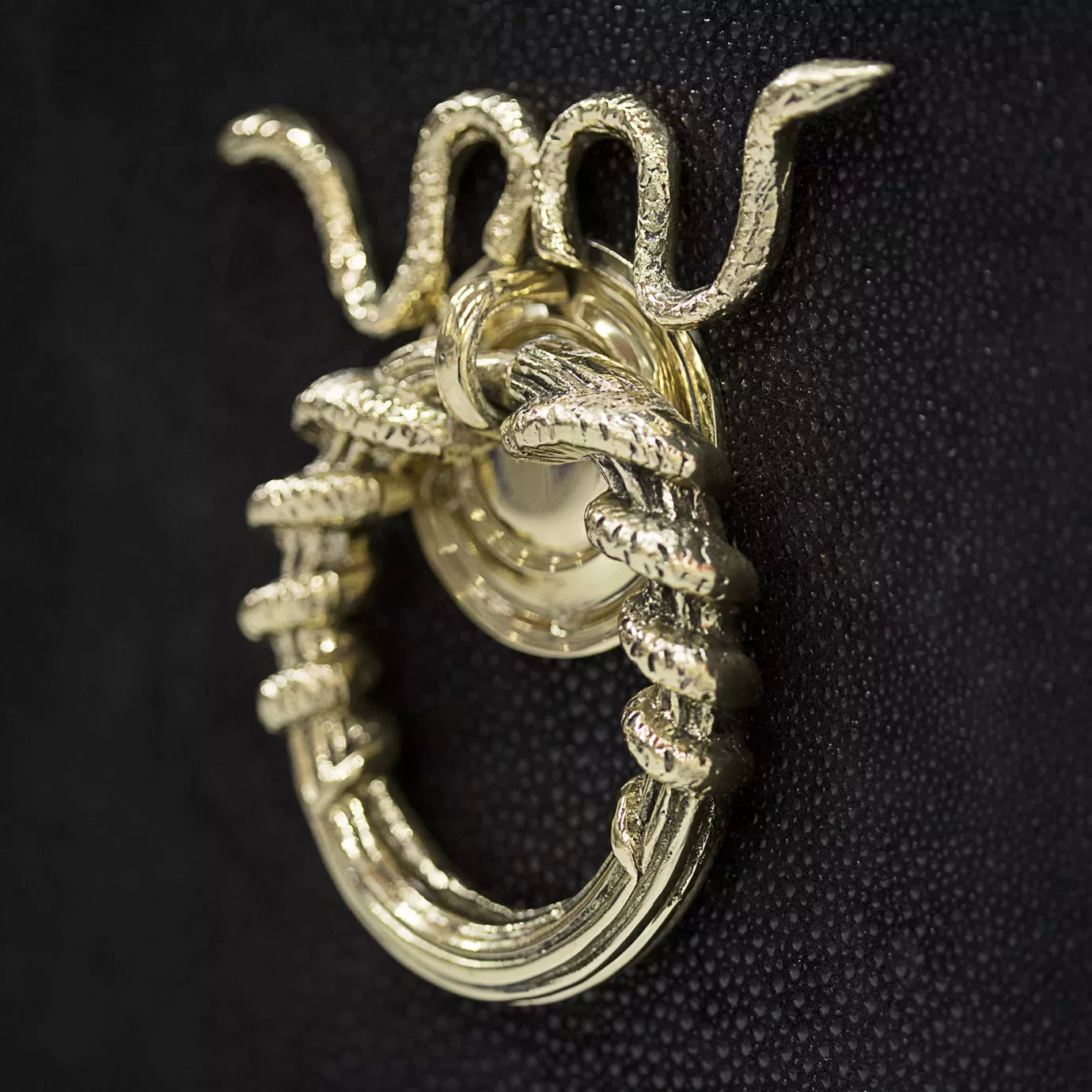Elegant detail of the golden snake-shaped handle of the Sinful Cabinet.