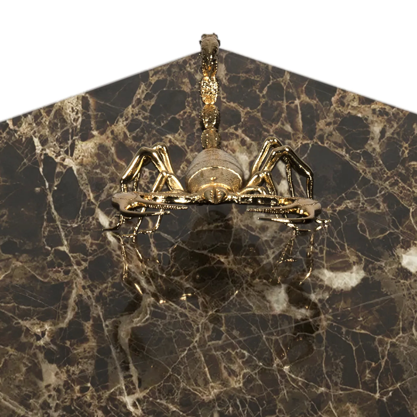 Marble center table with gold accents and preserved insects encased in glass.