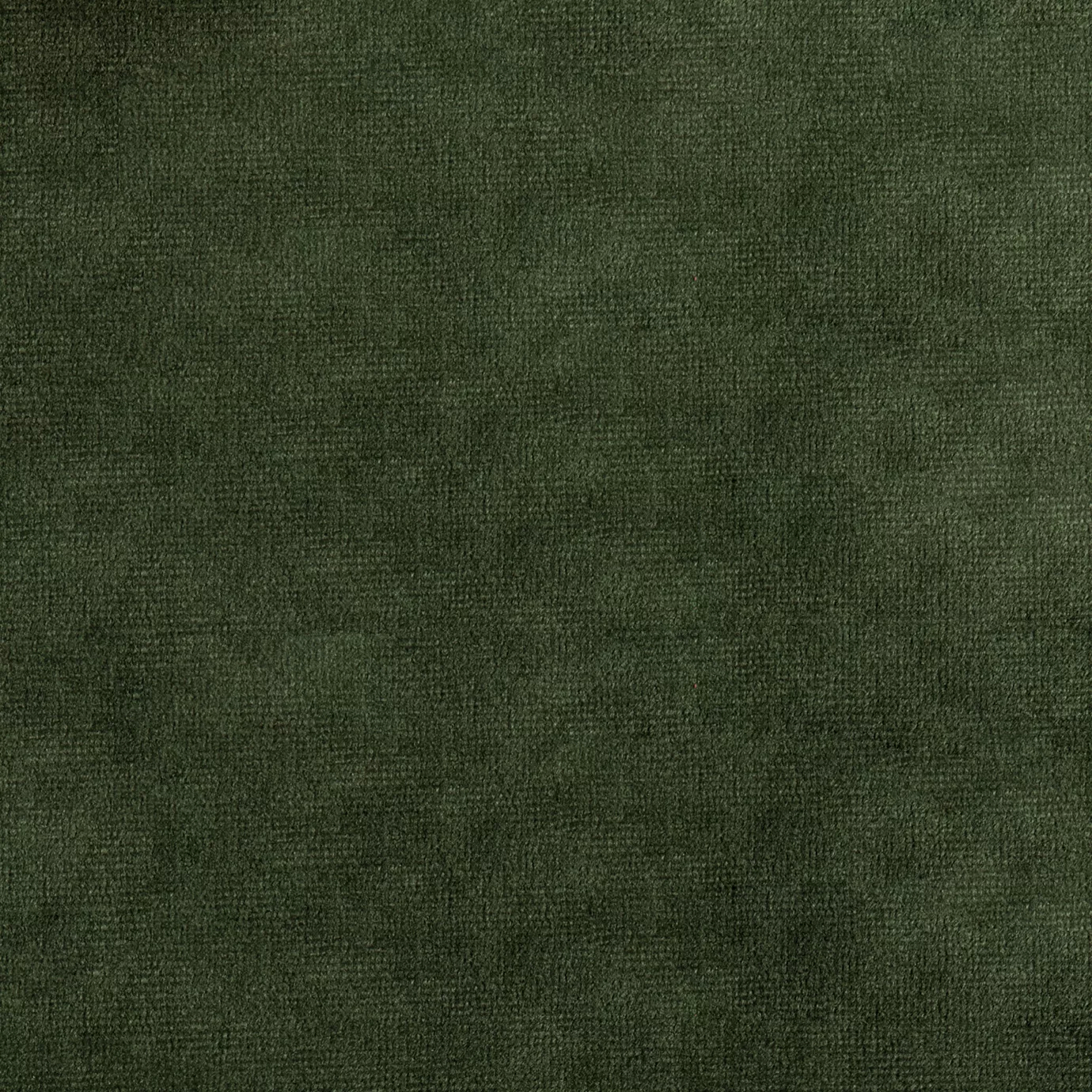 Elegant close-up of a Paris Velvet Green fabric swatch in a dark and natural green tone, showcasing its velvety texture and a subtle sheen that gives it a feeling of comfort and understated elegance.