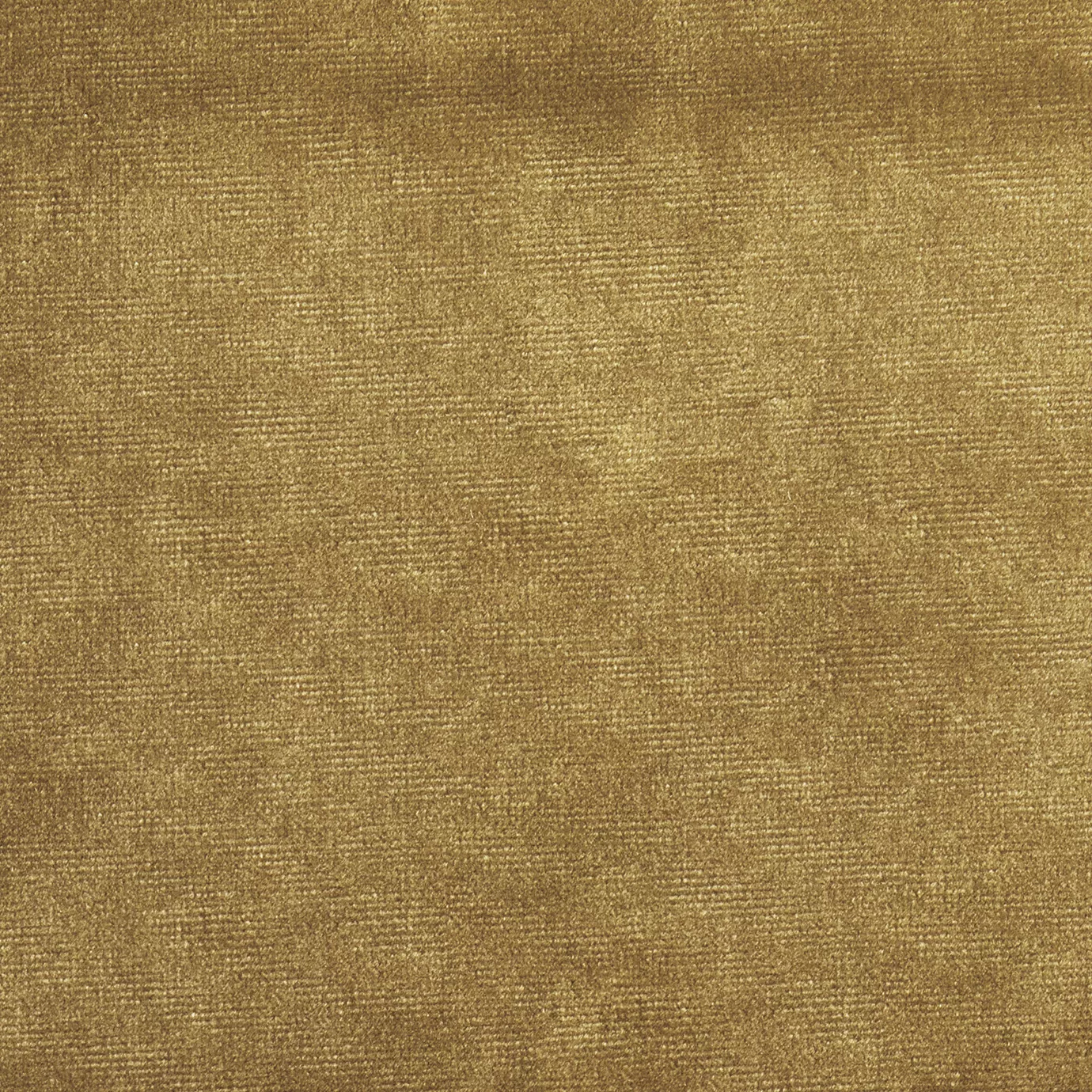 Elegant close-up of a Paris Velvet Lion fabric swatch in a soft and warm golden-brown tone, showcasing its velvety texture and a subtle sheen that gives it a feeling of comfort and natural, welcoming elegance.