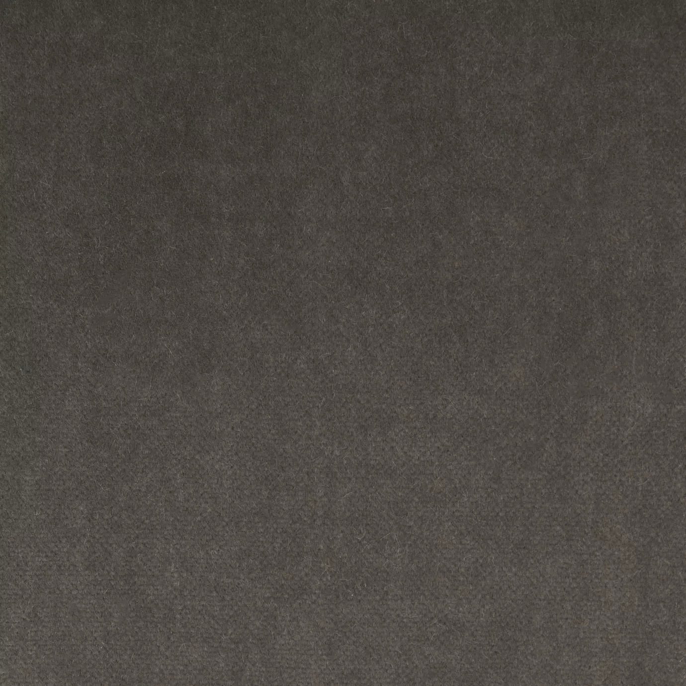 Soft and elegant close-up of a Lux Velvet Deep Gray 1205 fabric swatch in a deep and sophisticated gray tone, showcasing its velvety texture and a delicate sheen that gives it a feeling of comfort and timeless elegance.