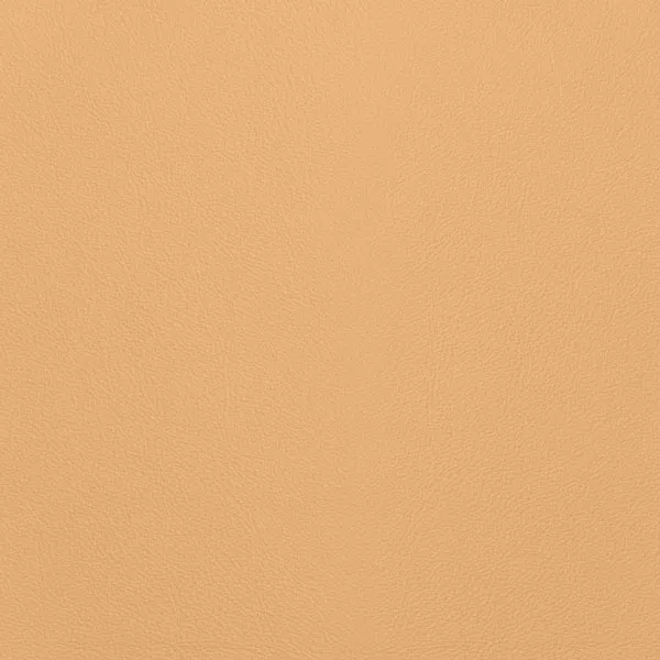 Close-up Oyster Alabaster Leather: soft pale beige, subtly textured and elegant. Smooth and even sheen.