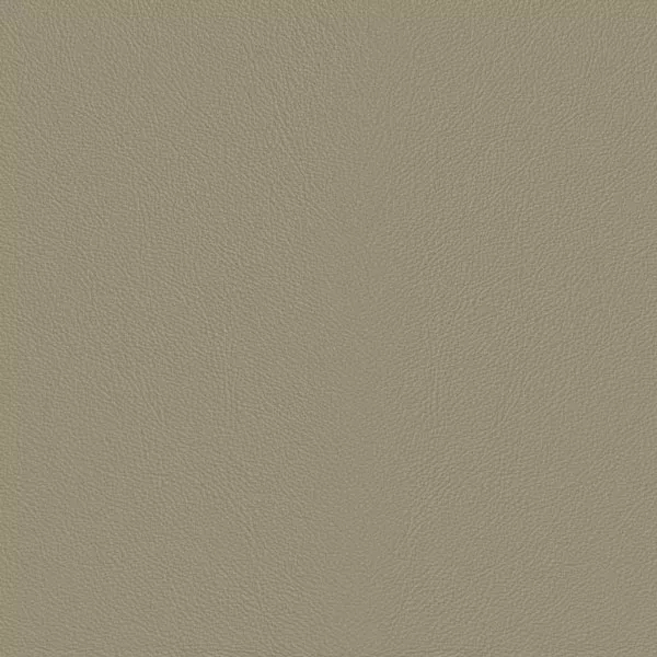 Close-up Oyster Angora Leather: soft grayish beige, subtly textured and elegant. Smooth and even sheen.
