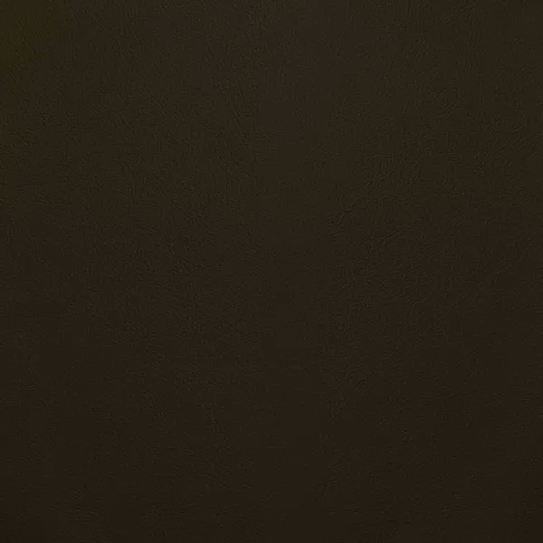Close-up Oyster Brown Stone Leather: soft dark brown, subtly textured and elegant. Smooth and even sheen.