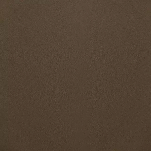 Close-up Oyster Chanterelle Leather: soft warm brown, subtly textured and elegant. Smooth and even sheen.