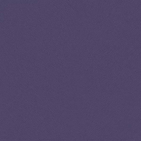 Close-up Oyster Dahlia Leather: soft and vibrant purple, subtly textured and elegant. Smooth and even sheen.