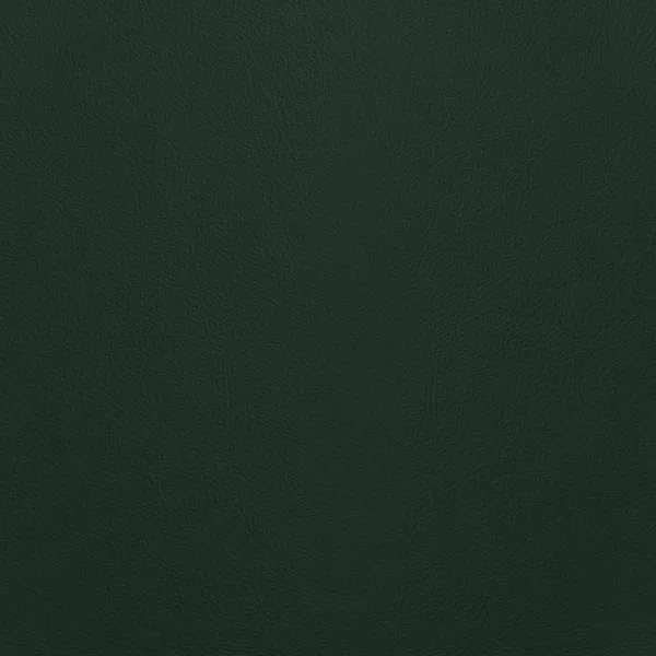Close-up Oyster Dark Forest Leather: soft dark forest green, subtly textured and elegant. Smooth and even sheen.
