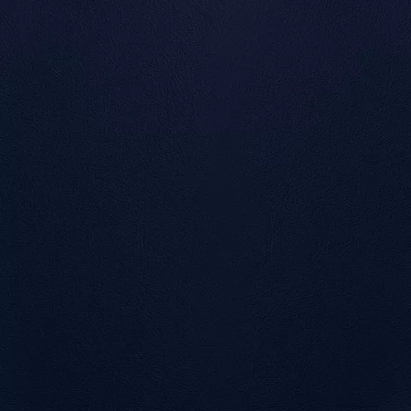 Close-up Oyster Eclipse Leather: soft dark blue, subtly textured and elegant. Smooth and even sheen.