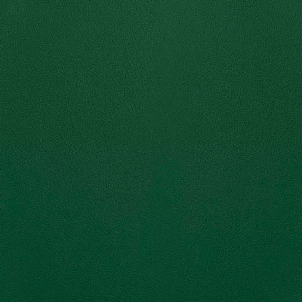 Close-up Oyster Evergreen Leather: soft pine green, subtly textured and elegant. Smooth and even sheen.