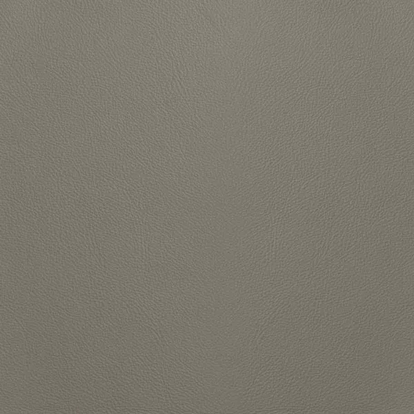 Close-up Oyster Foggy Dew Leather: soft light gray, subtly textured and elegant. Smooth and even sheen.