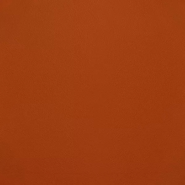Close-up Oyster Jaffa Orange Leather: soft and vibrant orange, subtly textured and elegant. Smooth and even sheen.