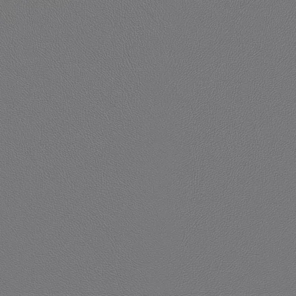 Close-up Oyster Orchid Tint Leather: soft light gray, subtly textured and elegant. Smooth and even sheen.