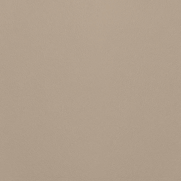 Close-up Oyster Pumice Stone Leather: soft grayish beige, subtly textured and elegant. Smooth and even sheen.