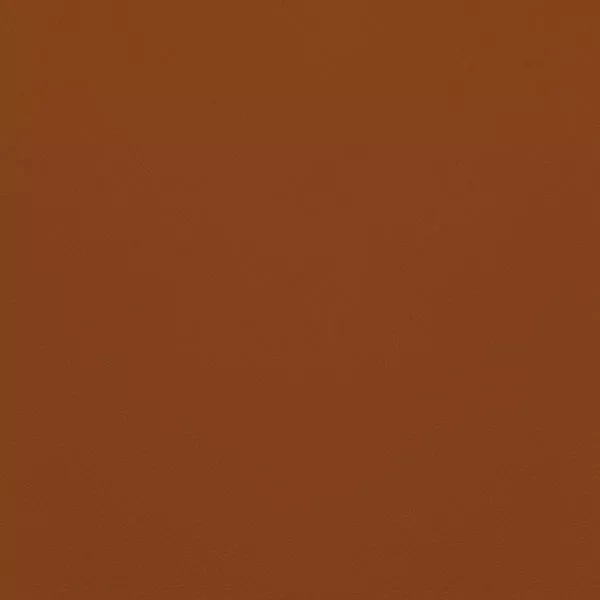 Close-up Oyster Raw Vienna Leather: soft orange-brown, subtly textured and elegant. Smooth and even sheen.