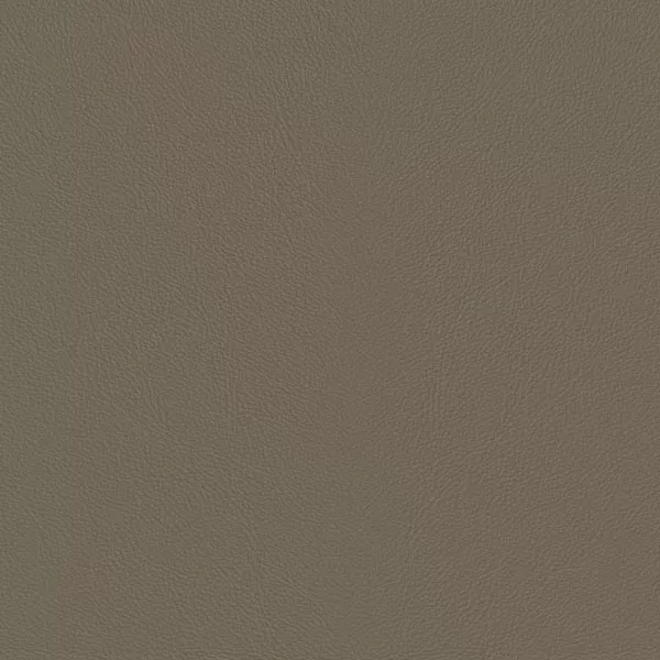 Close-up Oyster Simple Taupe Leather: soft taupe, subtly textured and elegant. Smooth and even sheen.