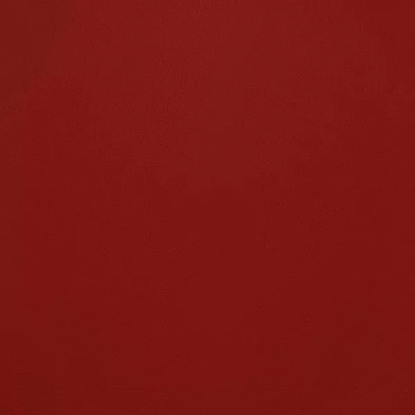 Close-up Oyster Tango Red Leather: soft and intense red, subtly textured and elegant. Smooth and even sheen.