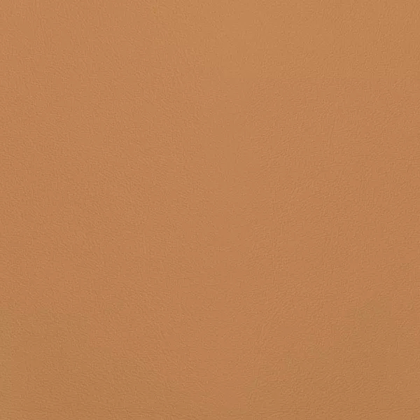 Close-up Oyster Zinnia Leather: soft brownish orange, subtly textured and elegant. Smooth and even sheen.