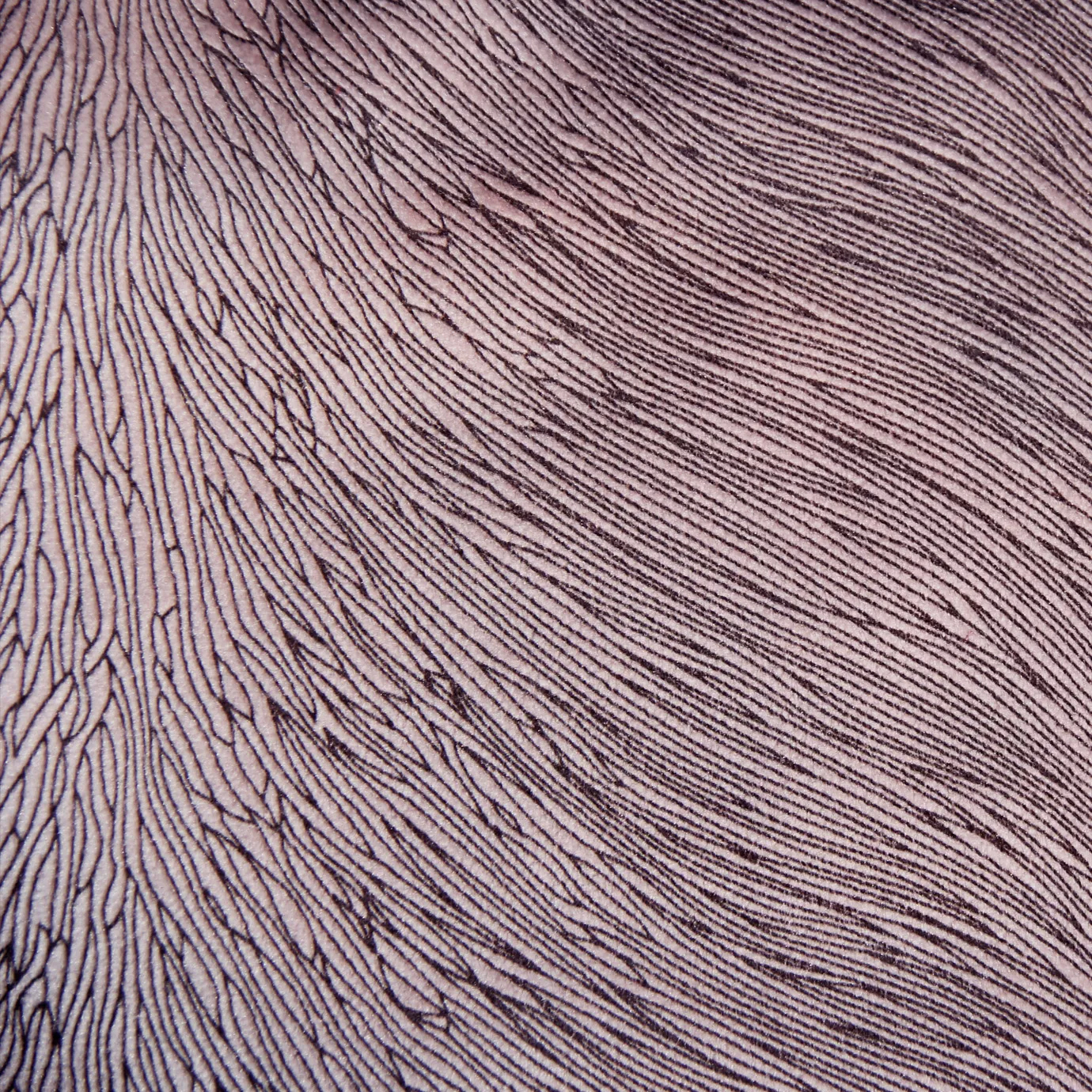 Hide Velvet 060 Fabric with a soft, muted tone and intricate textured pattern, showcasing its luxurious and sophisticated design.
