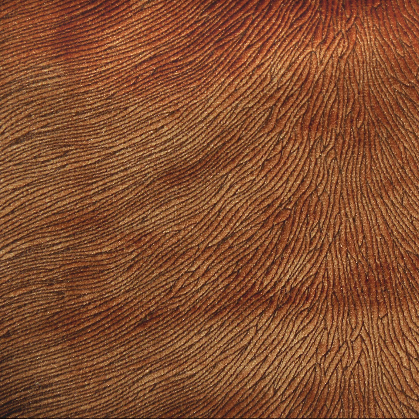 A close-up of textured Hide Velvet 061 fabric in a warm, reddish-brown or terracotta color.