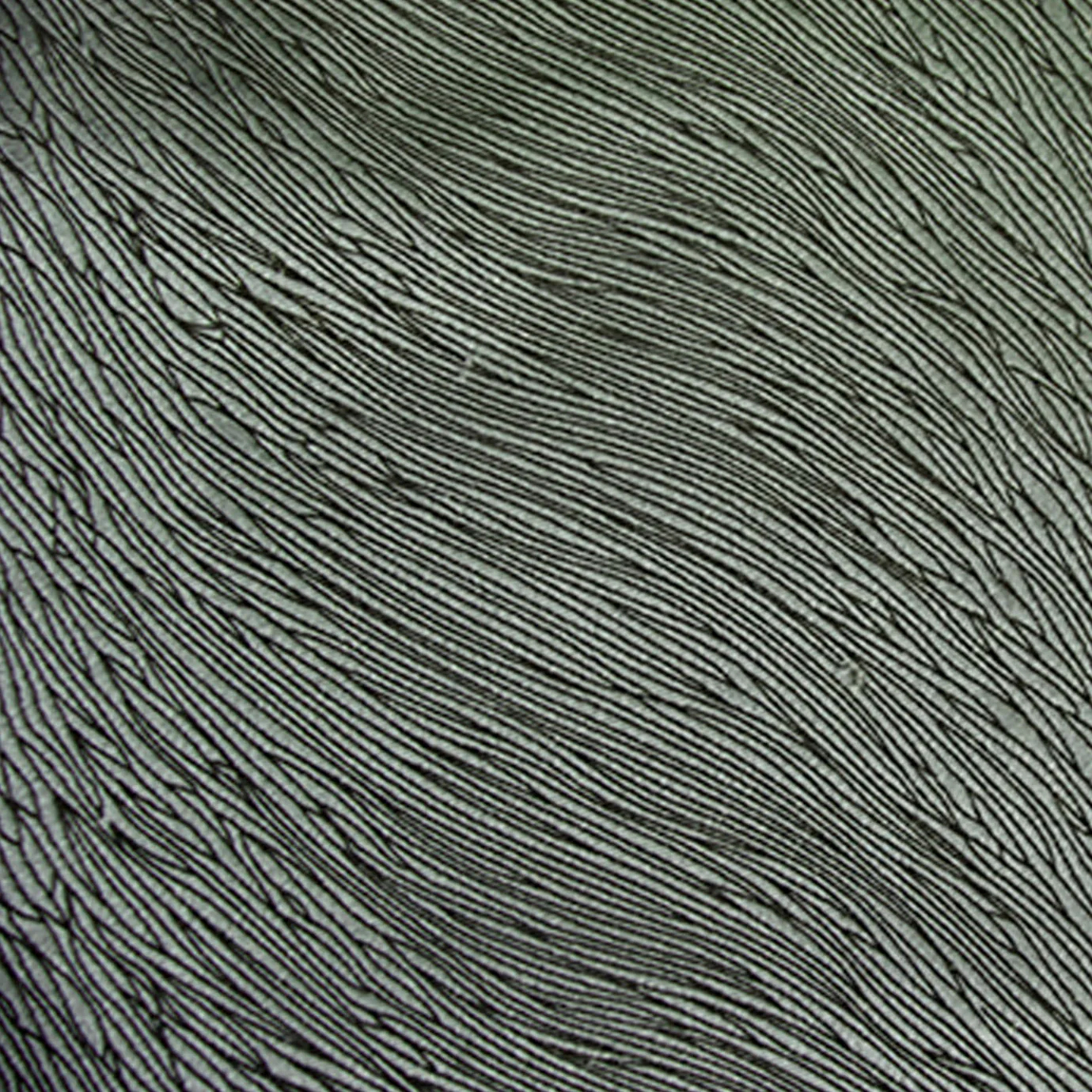 Close-up of Hide Velvet 080 fabric in a light gray or silver color with a subtle, textured pattern.