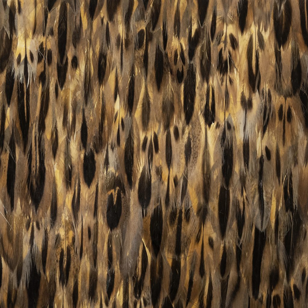 Feather Wallpaper