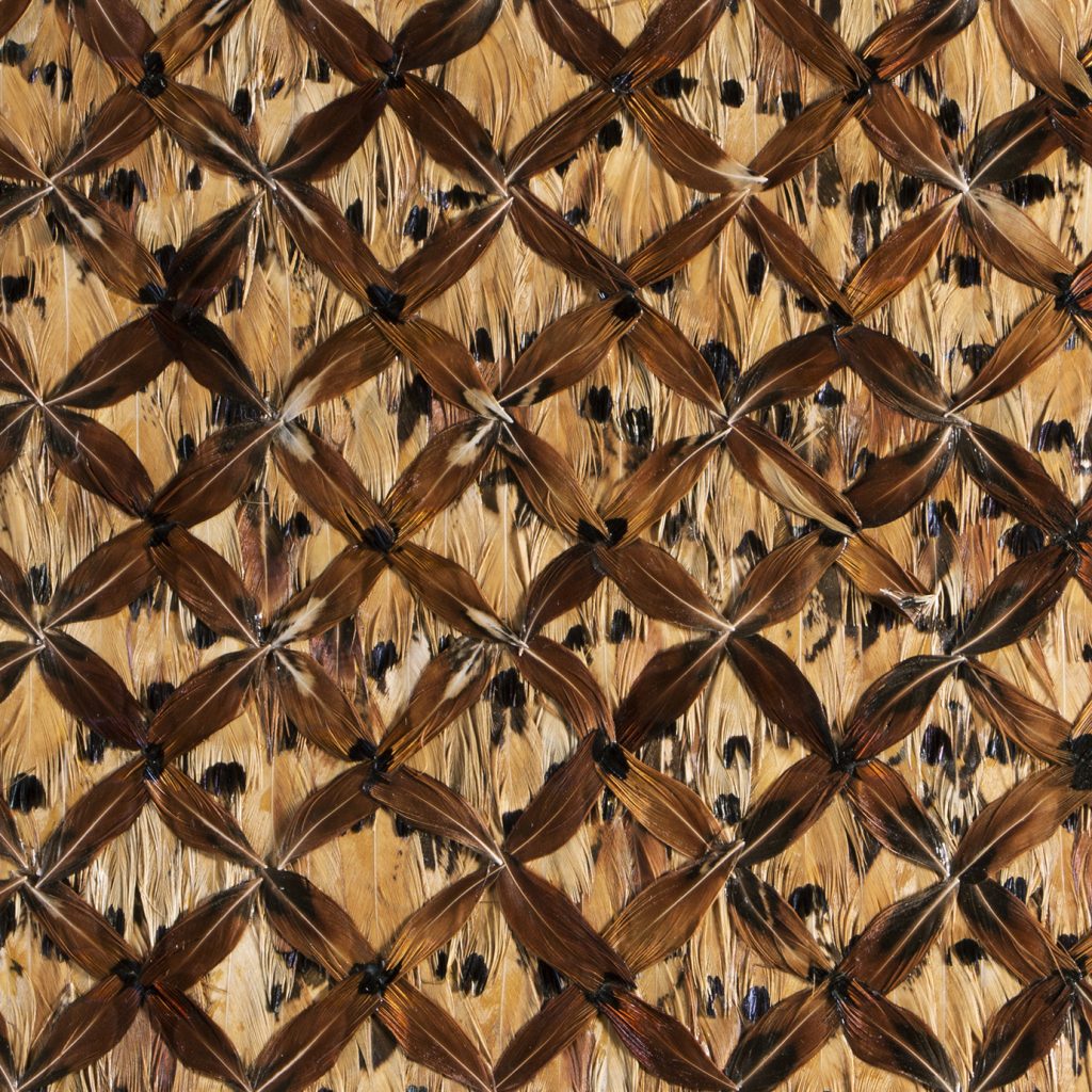 Feather Wallpaper
